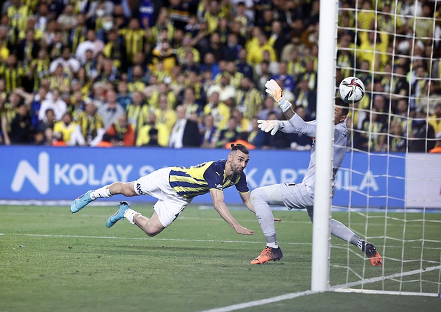 提供了宝贵 提供了宝贵