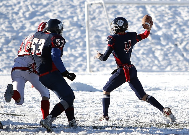 明星的表现 明星的表现