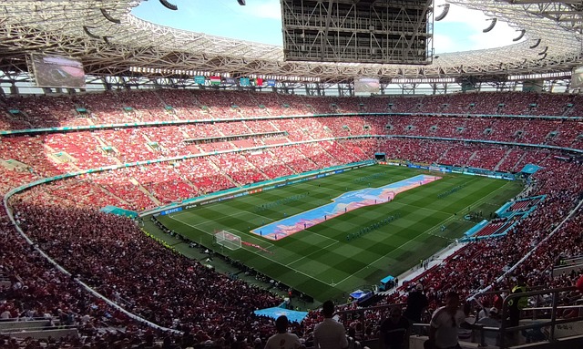 作与年轻球 作与年轻球